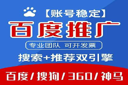 行业领先企业的SEM竞价代运营案例解析